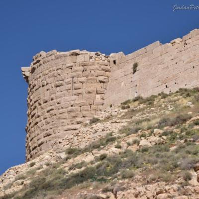 Shobak Castle Day Trip951 20170420 1041606617 20190622 1461599840