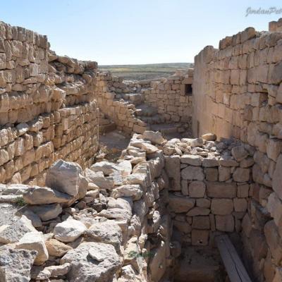 Shobak Castle Day Trip974 20170420 1155430886 20190622 1332650650