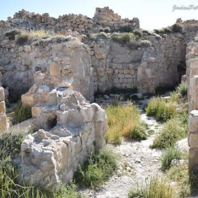 Shobak Castle Day Trip978 20170420 1098834762 20190622 1901989131