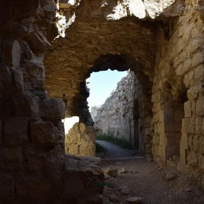 Shobak Castle Day Trip981 20170420 1145421690 20190622 1201469444