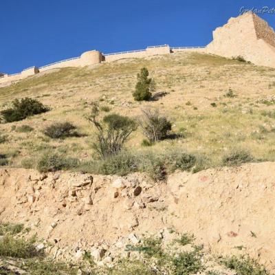 Shobak Castle Day Trip990 20170420 1031039709 20190622 1490743794