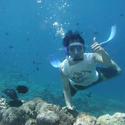 Snorkeling Red Sea Aqaba 20190622 1184259475