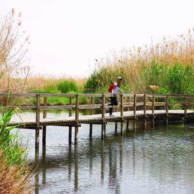 Azraq Wetland Reservefull 20190622 1933338519